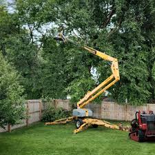 Best Landscape Design and Installation  in St Michaels, MD